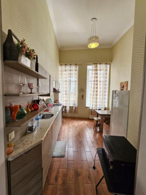 Apartment near Parliament